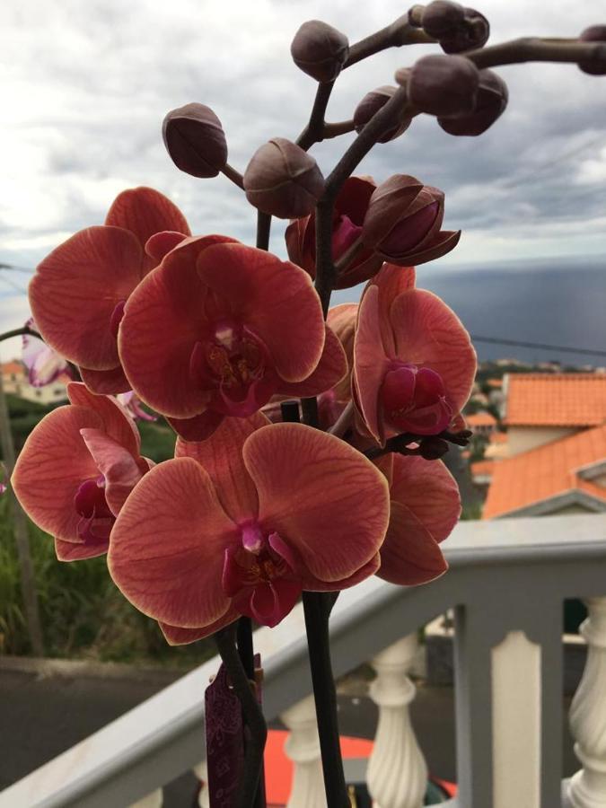Apartament Slice Of Ponta Do Sol- Ground Floor- Sea View Ponta do Sol  Zewnętrze zdjęcie