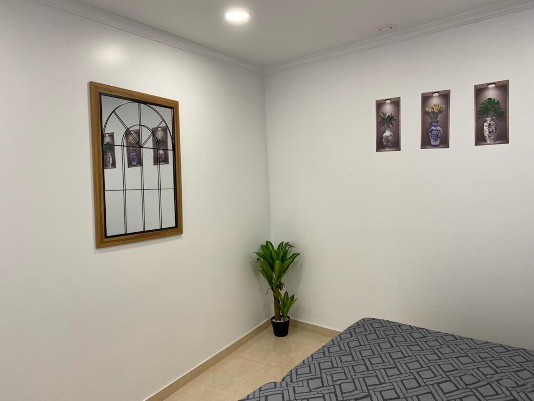 Apartament Slice Of Ponta Do Sol- Ground Floor- Sea View Ponta do Sol  Zewnętrze zdjęcie